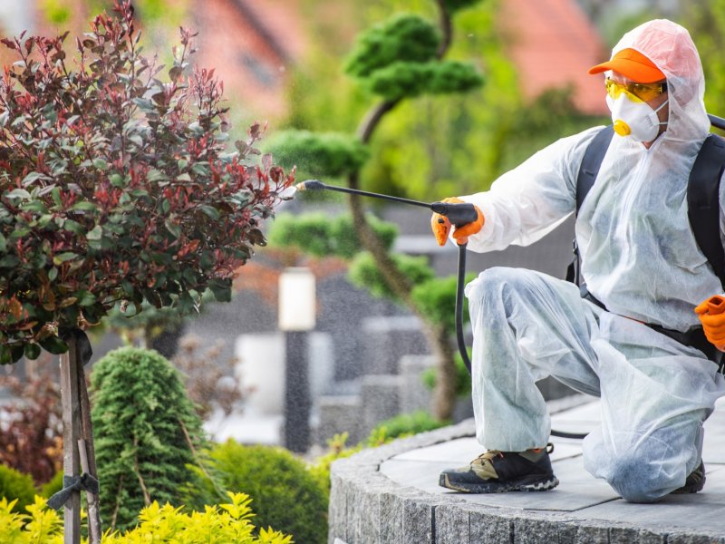 Kadınhanı Haşere İlaçlama